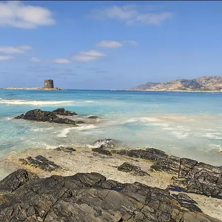 Blu Splendida Con Piscina - Stintino Sardegna Willa Punta de su Torrione