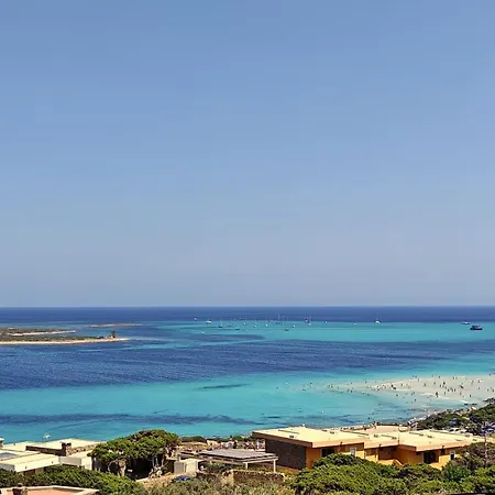 Blu Splendida Con Piscina - Stintino Sardegna Willa